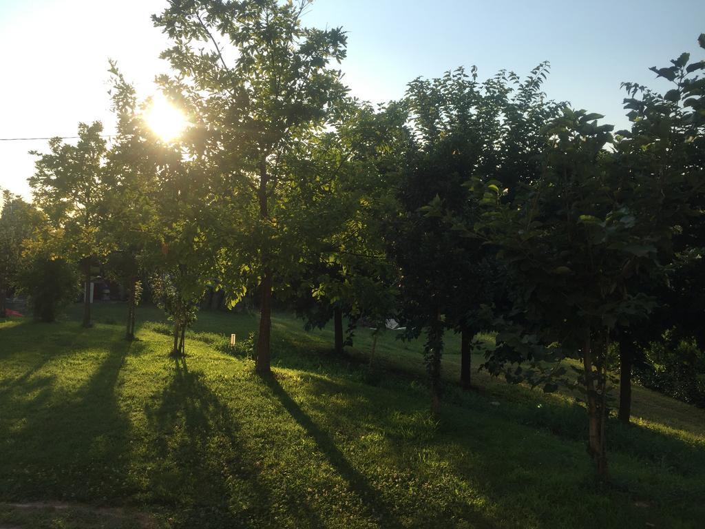 B&B Nido Sui Laghi San Donnino della Nizzola Buitenkant foto